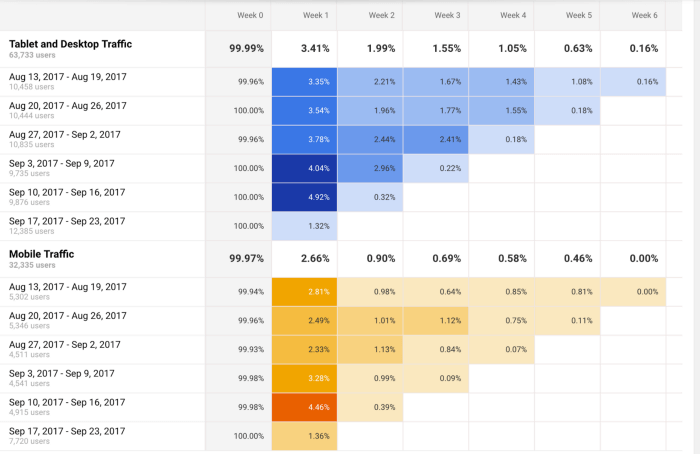 Cohort analysis chart example from google analytics