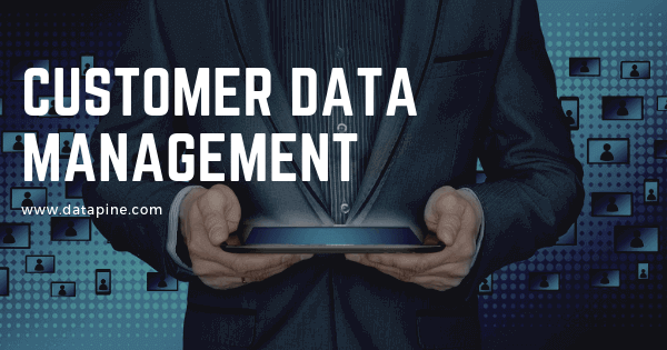 Customer data management by datapine