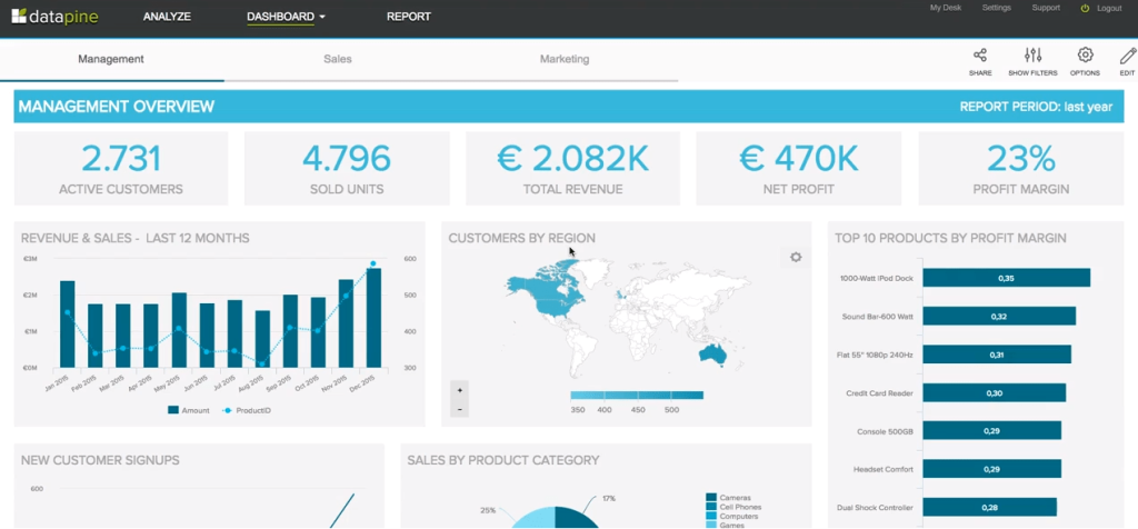 datapine dashboard interface