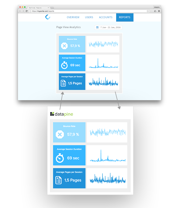 Embbeded feature from datapine for agency reporting