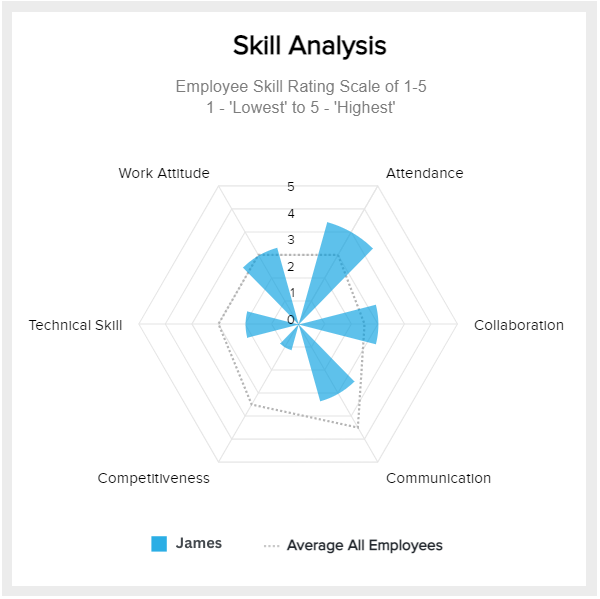 Single group radar chart example tracking performance for a single employee 