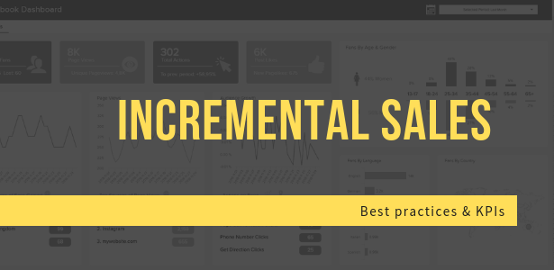 Incremental sales blog post by datapine