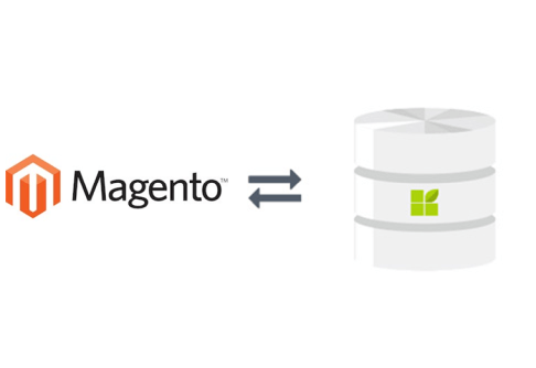 Magento zu datapine Verbindung