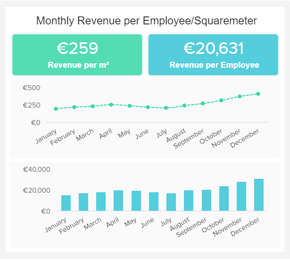 data visualization showing the monthly revenue per employee and squaremeter