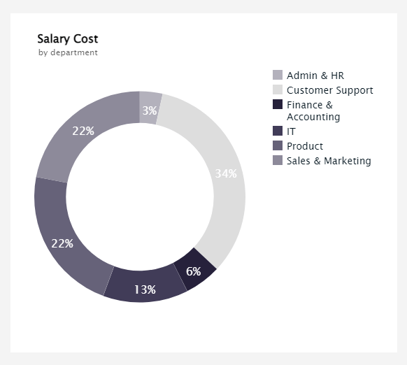 pie chart breaking down the salary costs by deparment