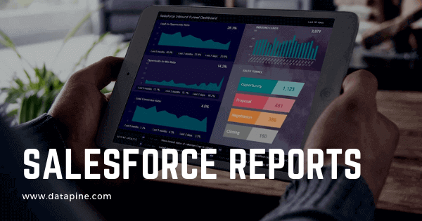 Salesforce reports by datapine