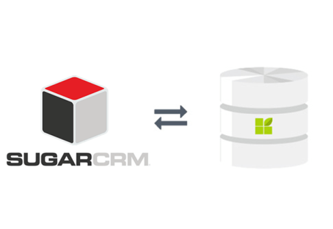 SugarCRM zu datapine Verbindung