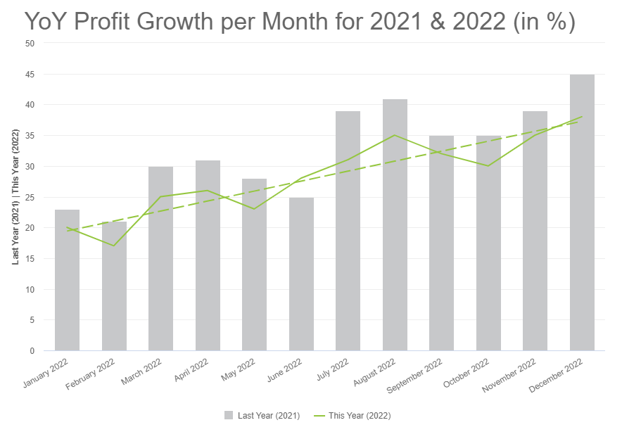 YoY profit growth per month example