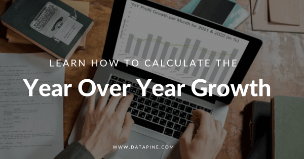 YoY growth blog by datapine